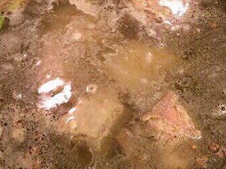 4、清炖排骨，妈妈的味道（二）,加花椒、八角、川桂、香叶、大葱、姜、陈皮，用大火烧开。此时汤面会出现一层泡沫，这就是被煮出来的血水，捞去浮沫。