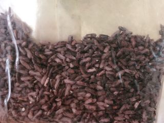 2、紫米酒酿,紫糯米