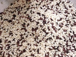 3、紫米酒酿,放一起洗干净