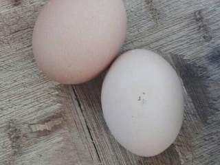 1、泡芙,油，水，盐，糖放入锅内，小火烧开，加热过程中不停的搅拌，