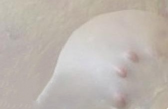 6、香蕉飞饼卷, 用手轻轻提起面饼边缘向外拉抻,各个方向拉抻开