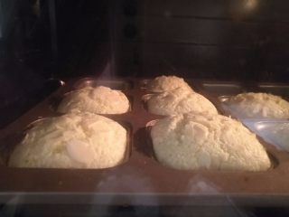 13、椰蓉蛋糕,立刻放入烤箱中层，所以烤箱一定要在开始时就预热好。.烤箱170度，烤20分钟，中途不要打开烤箱。