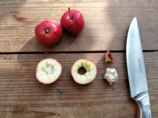 3、山楂糕,去除山楂籽和山楂蒂