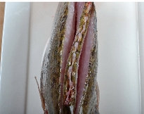 2、醋香怀胎鱼,鳜鱼用剪刀从头部伸入，剪掉腮，冲洗干净，然后沿着脊背各划一深刀。