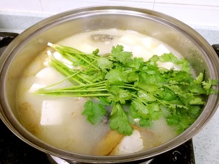 13、豆腐鲫鱼汤,放入芫荽煮一下,关火。