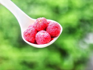 15、酸甜爽口的冰镇杨梅,来吃!