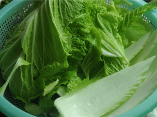 2、酸辣白菜帮,用刀将白菜帮削下来