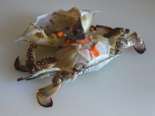 10、奶油南瓜螃蟹汤,螃蟹洗净，掀开后盖