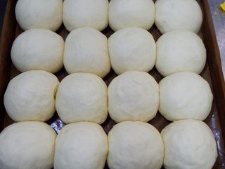 8、芝麻奶油小餐包（中种）,38度左右环境发酵至2倍大