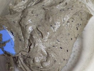 10、黑芝麻磅蛋糕,加入黑芝麻搅拌均匀。（我做了两条磅蛋糕，均分面糊后一份加了黑芝麻，一份没有加）