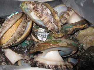 1、清蒸鲍鱼,活鲍鱼，洗净。