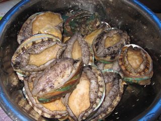 3、清蒸鲍鱼,再来一张近照。