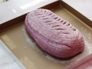 18、紫薯欧包,表面筛粉，割花纹，放入烤箱中下层，上火220度下火190度30分钟