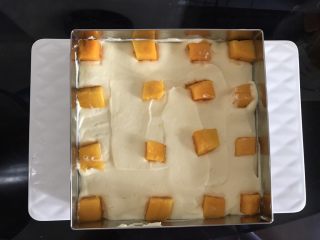 15、芒果芭菲冰淇淋蛋糕,取一片蛋糕片放入慕斯圈底部，铺一层芒果芭菲糊，抹平，放上芒果果粒。