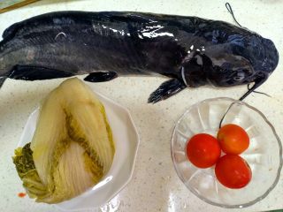 1、酸菜鱼,把材料准备好