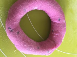 6、火龙果芝士圈,卷起来