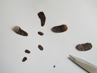 3、熊猫趣味早餐饼,海苔或紫菜剪出熊猫眼睛和鼻子、四肢部分