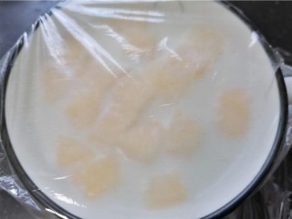 11、苹果布丁,封上保鲜膜