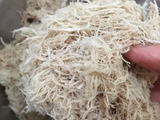 9、自制棉花猪肉松,用手耐心地撕成条，尽量细些！这个过程很考验耐心哦～如果家里有电动打蛋器，可以用打蛋器，这样可以减少很多撕手撕的时间！