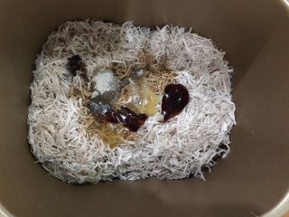 10、自制棉花猪肉松,全部的倒入面包机内桶里，加入生抽，瑶柱鲍鱼汁，老抽，盐，胡椒粉，芝麻油，白砂糖搅拌均匀。