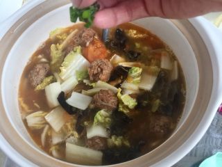 15、五色食蔬➕娃娃菜木耳粉丝藕丸汤,将煮好的汤移入自己喜欢的汤盆中，撒上少许葱末，即可上桌