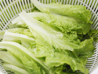 5、鸡胸沙茶卷饼,煎鸡胸肉的同时把生菜洗净沥干水