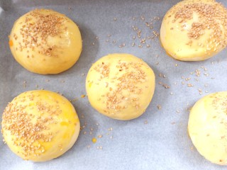 15、汉堡胚,取出刷上蛋液，撒上芝麻，烤箱160度预热5分钟