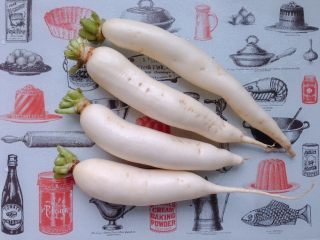 1、爽脆萝卜条,选用细长型的白萝卜洗净