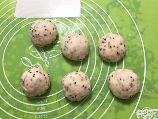 10、松软芝麻包,分别滚圆。