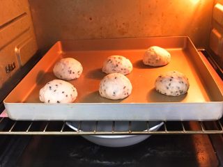 12、松软芝麻包,送入烤箱发酵60分钟，底部放一碗热水助温。