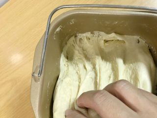 4、东北软炸麻花-妈妈的味道,发酵一小时，有明显纤维。