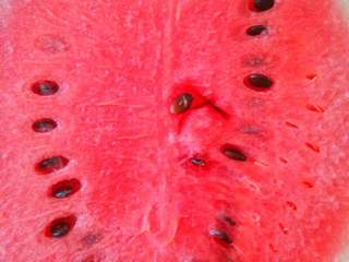 1、营养雪糕,西瓜去好籽