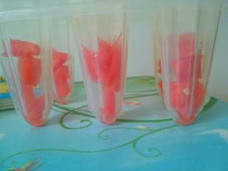 5、营养雪糕,把剩余的西瓜丁放入雪糕模中