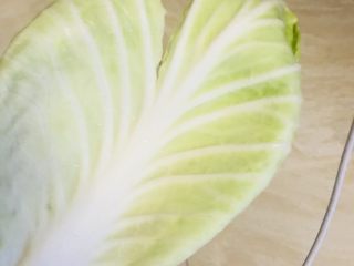 3、清炒包菜,如图六片