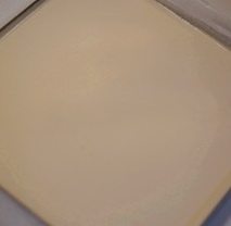 8、芒果烫面蛋糕卷,倒入铺有油纸的烤盘,然后用刮板抹平,切记别来来回回抹