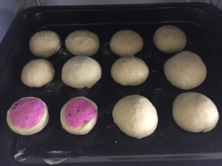 6、火龙果抹茶包,摆在烤箱中,用保鲜膜盖好大约10分钟,让面团进行二次发酵。刷一层全蛋液,烤箱上下火180度,15分钟。照片左下角为试验,请忽略。