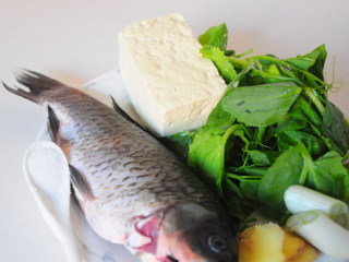 1、豆尖鲫鱼豆腐汤,准备食材