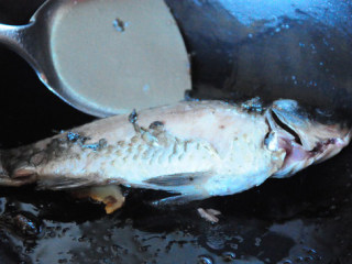 3、豆尖鲫鱼豆腐汤,鲫鱼洗净后用厨房纸巾沾干