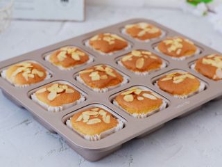 12、蜂蜜蛋糕,成品图