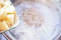 5、苹果燕麦粥,烧开后加入苹果