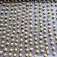 7、旺仔小馒头,搓圆放烤盘里，个头比黄豆粒稍微大一点儿。