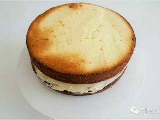 1、可爱到不忍下口的冰雪奇缘3D蛋糕|翻糖蛋糕教学,把蛋糕切成两半,最好利用分成切割器把蛋糕分成(表面会比较均匀),其中一片蛋糕放转台上并抹上一层奶油,再盖上另一片蛋糕,