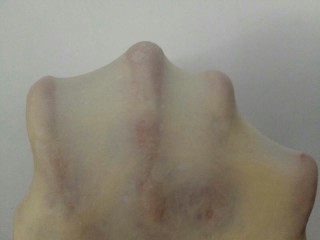 2、悟空快到我碗里来,揉到面团能拉出手套膜