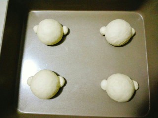 4、悟空快到我碗里来,将面团分8个3克的小面团，剩下的面团平均分成4份，将面团分别滚圆放入烤盘里，将3克的小面团贴在大面团的两侧。把烤盘放入烤箱里发酵。