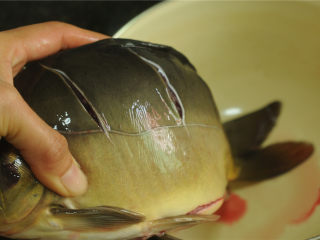 3、紫苏蒸桂鱼,桂鱼两侧用刀割出几条口子