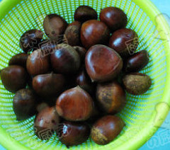 1、微波蜂蜜开口栗,栗子洗净控去水