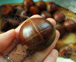 2、微波蜂蜜开口栗,在栗子表面用刀切成十字，不要切透，刚好切开表皮就好