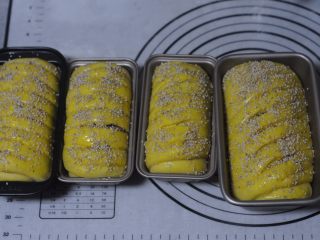 15、能量满满，南瓜红豆芝麻斑纹土司,刷上一层蛋液，撒上芝麻