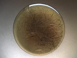 10、赛蟹肉版  炒虾仁,锅里放适量的油