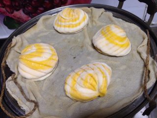 6、会吐珠的贝壳馒头,蒸锅加水，贝壳馒头摆入铺了屉布的锅中，中火烧开水，转大火，上汽蒸15分钟后关火（关火后2-3分钟再揭盖，以免馒头塌陷）